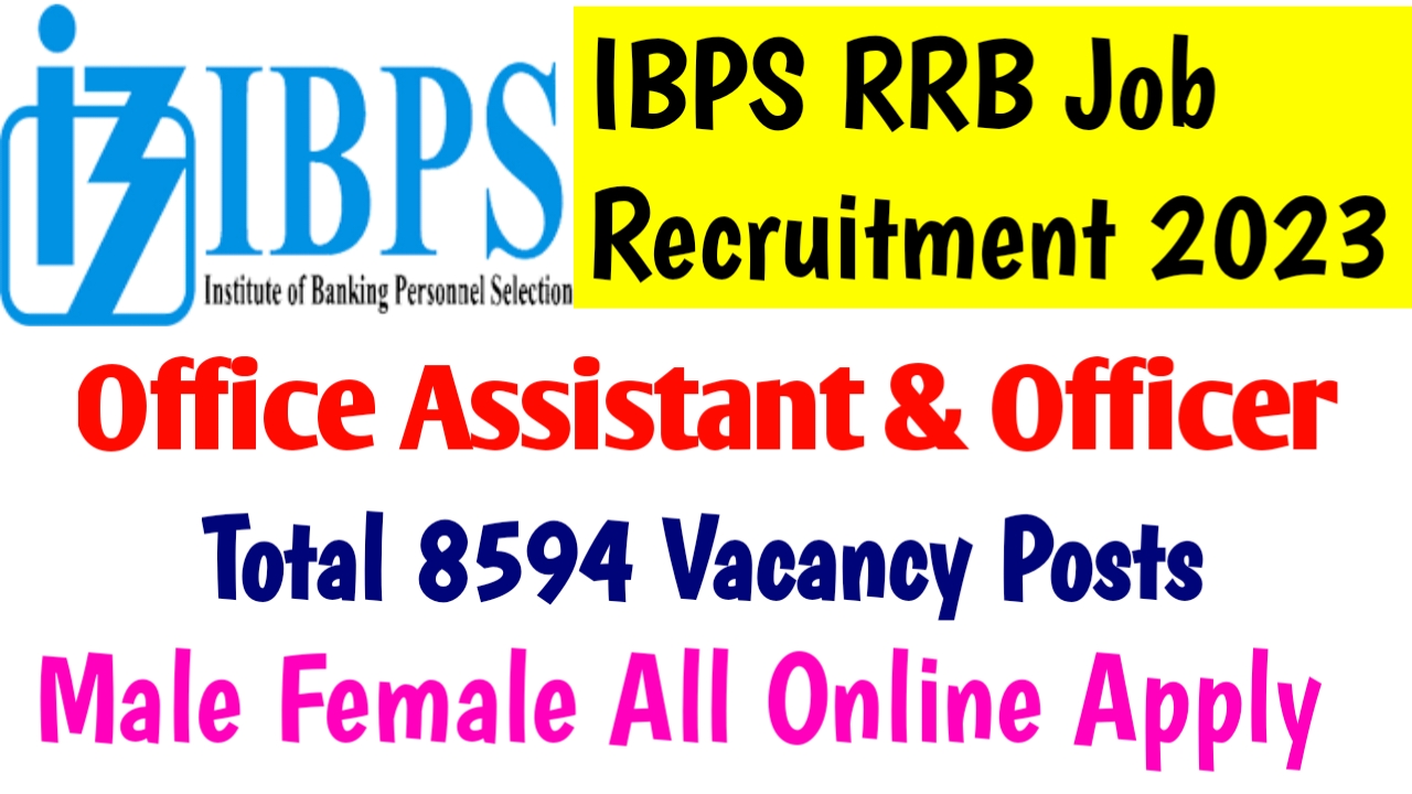 IBPS RRB XII Recruitment 2023 Apply Online for Office Assistant, Officer Scale I, II & III Post